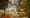 coudewaterwandeling-33-lr-1.jpg